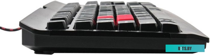 Клавиатура A4Tech Bloody Q100