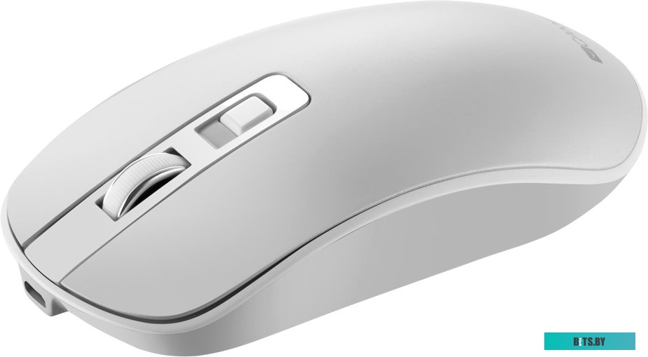 Мышь Canyon CNS-CMSW18PW