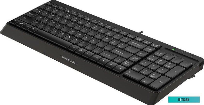 Клавиатура A4Tech Fstyler FK15 (черный)