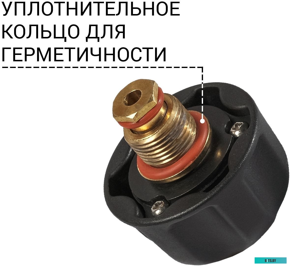 Пароочиститель Bort BDR-2300-R <93722609>