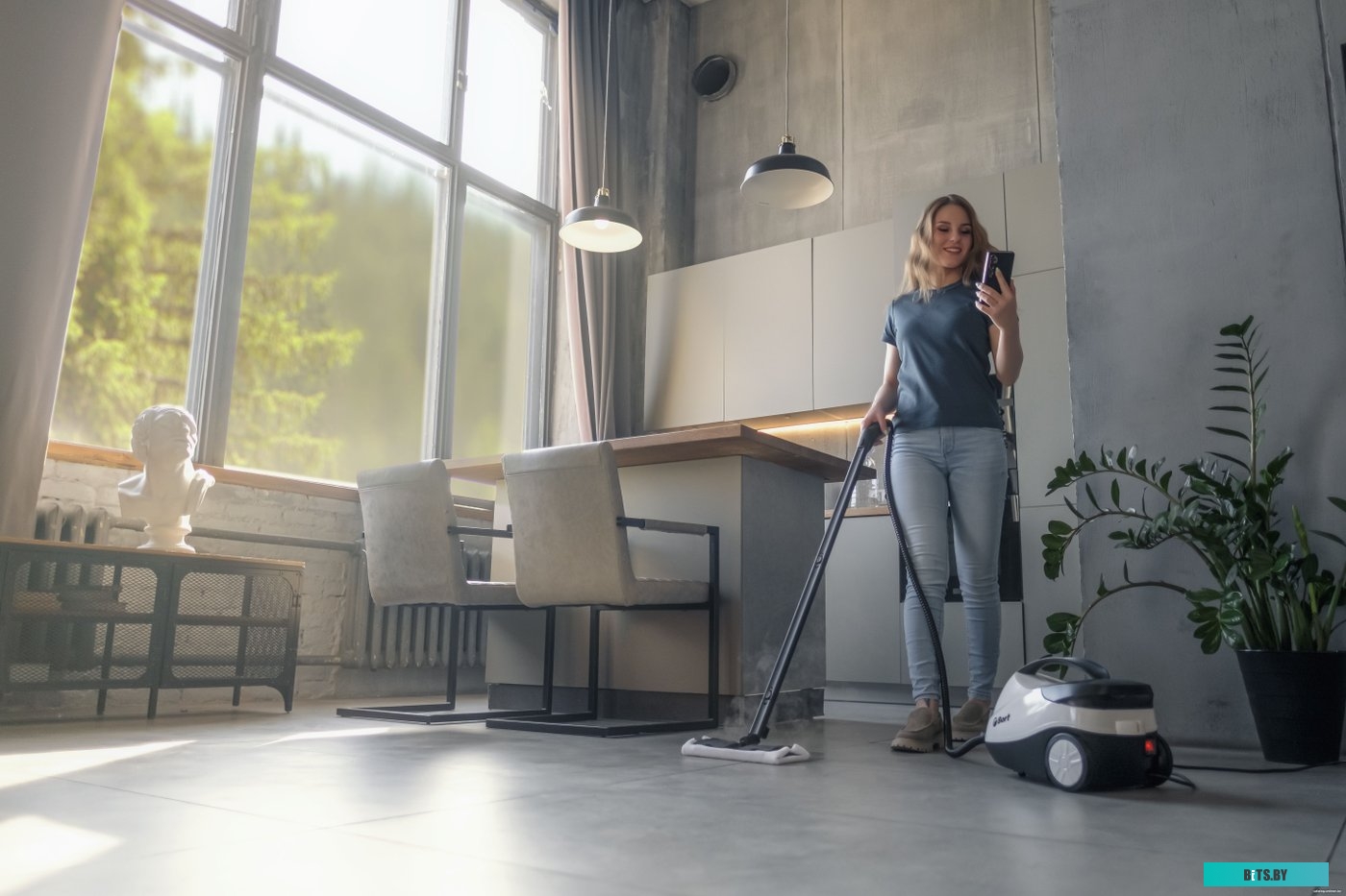 Пароочиститель Bort BDR-2300-R <93722609>