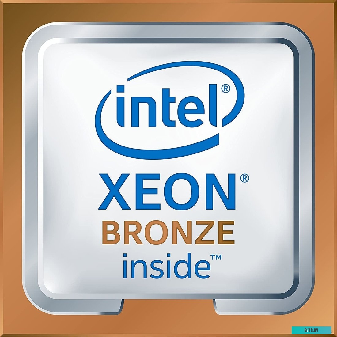 Процессор для сервера Intel Xeon Bronze 3206R <CD8069504344600>