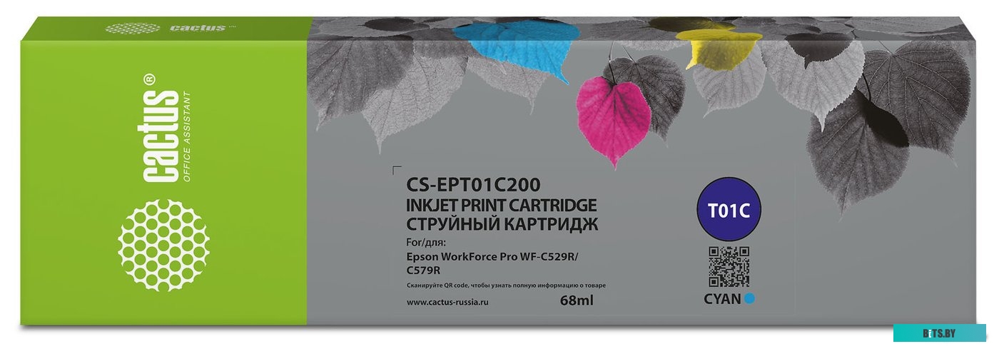 Картридж CACTUS CS-EPT01C200 (аналог Epson T01C2)