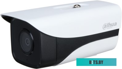 Уличная цилиндрическая IP-видеокамера Dahua DH-IPC-HFW1230MP-A-I2-B-0360B-S5