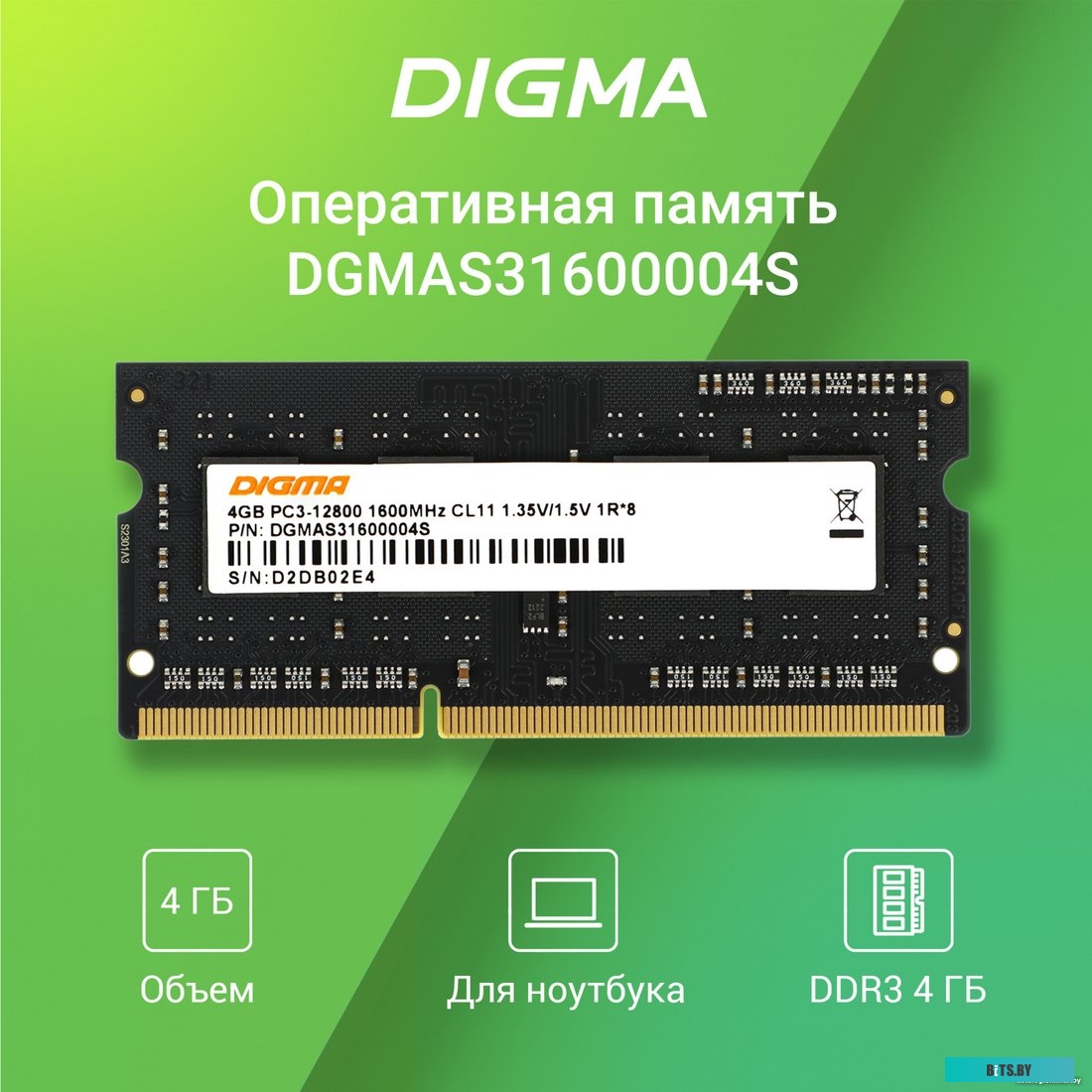 Оперативная память Digma DGMAS31600004S 1892906