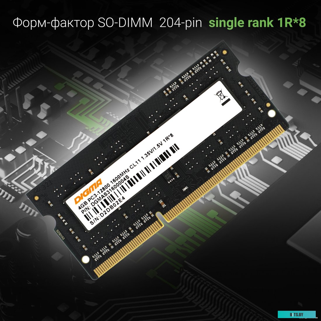Оперативная память Digma DGMAS31600004S 1892906