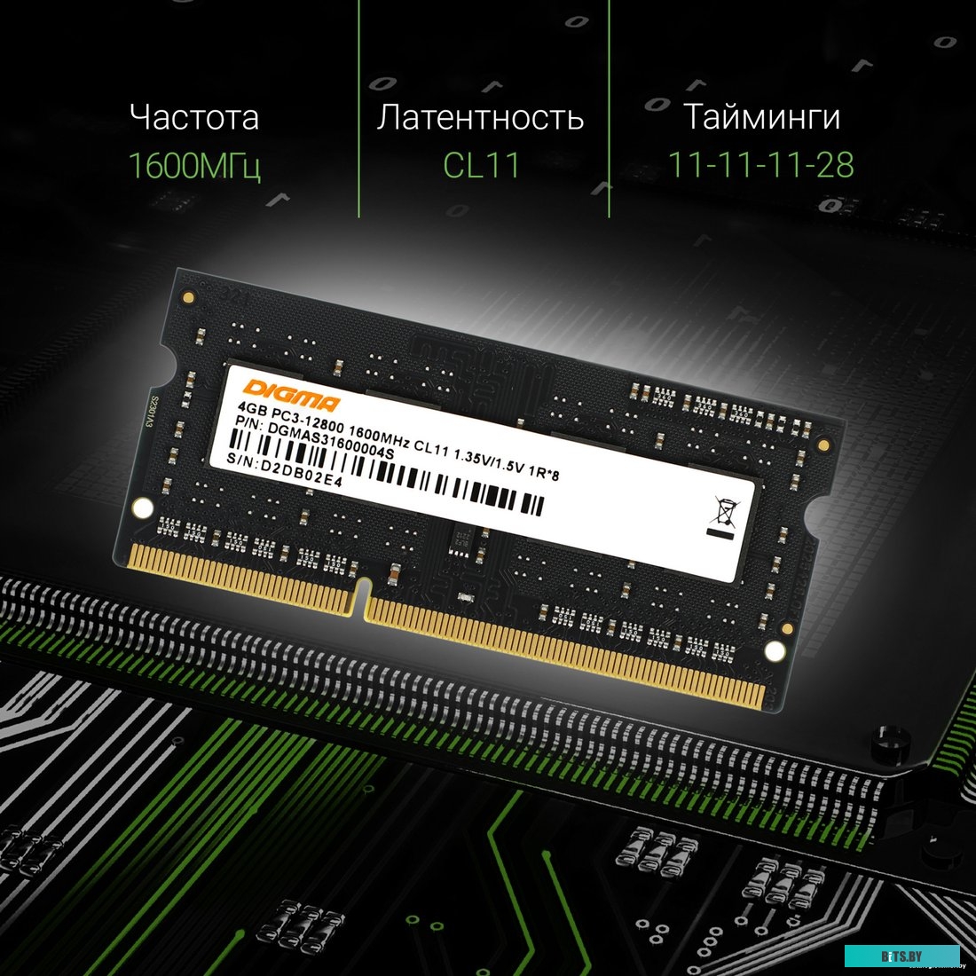 Оперативная память Digma DGMAS31600004S 1892906