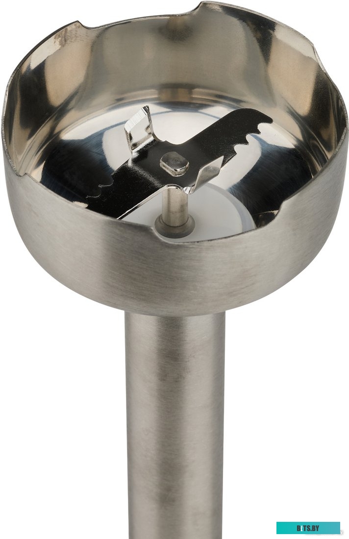 HBS-0651 Погружной блендер 5 в 1 EVOLUTION HBS-0651 Blue