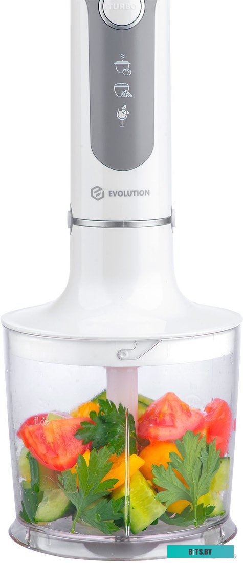 HBS-1342 Погружной блендер 3 в 1 Evolution HBS-1342 White