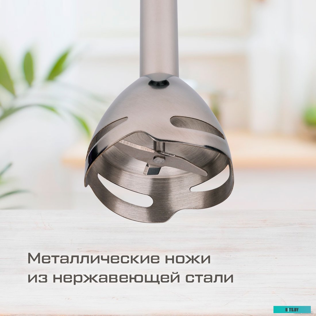 HBS-0642 Погружной блендер 4 в 1 Evolution HBS-0642 BLACK