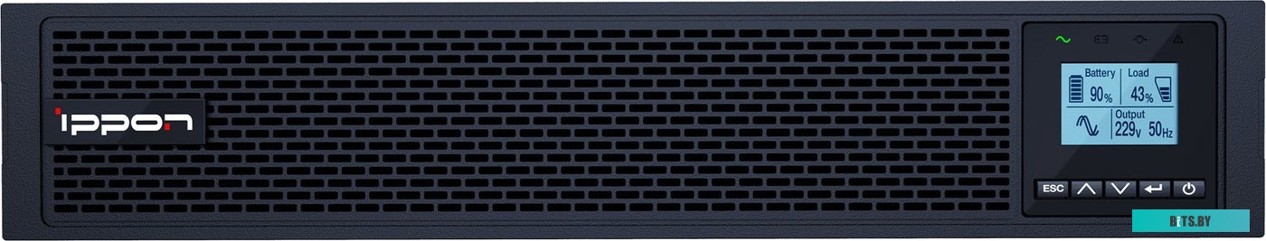Источник бесперебойного питания (ИБП) Ippon Innova RT II 1000 <1398359>