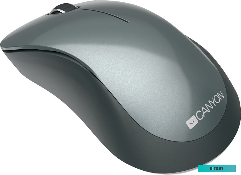 Мышь Canyon CNE-CMSW11B