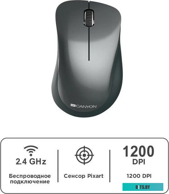 Мышь Canyon CNE-CMSW11B