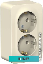 Розетка Schneider Electric Blanca BLNRA010212