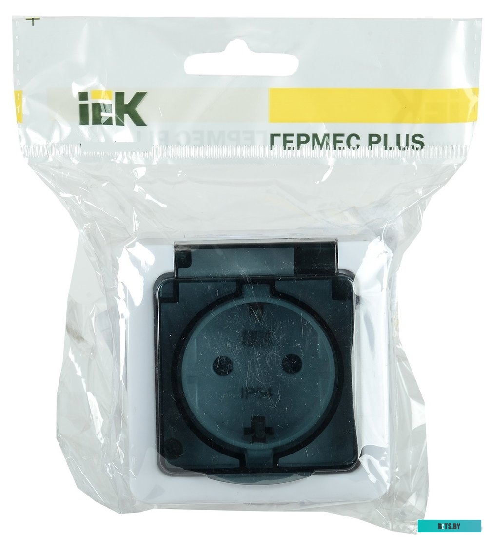 Розетка IEK ERMP22-K03-16-54-EC