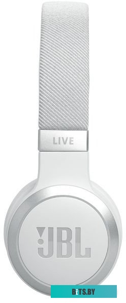 JBLLIVE670NCWHT JBL Live 670NC (белый)