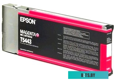 Картридж Epson C13T54X300 C13T54X300