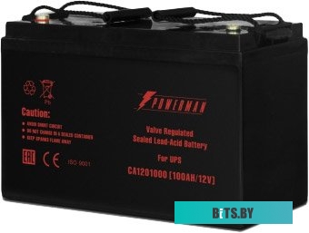 Аккумулятор для ИБП Powerman CA121000/UPS (12В/100 А·ч)