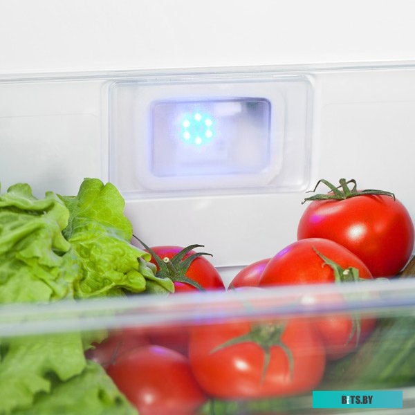 7386510001 Холодильник двухкамерный Beko B1RCSK402W белый