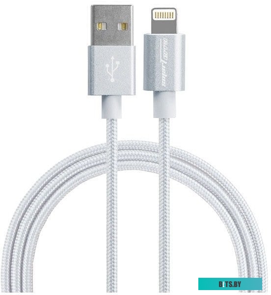 Адаптер Smarterra STR-AL002M (серебристый)