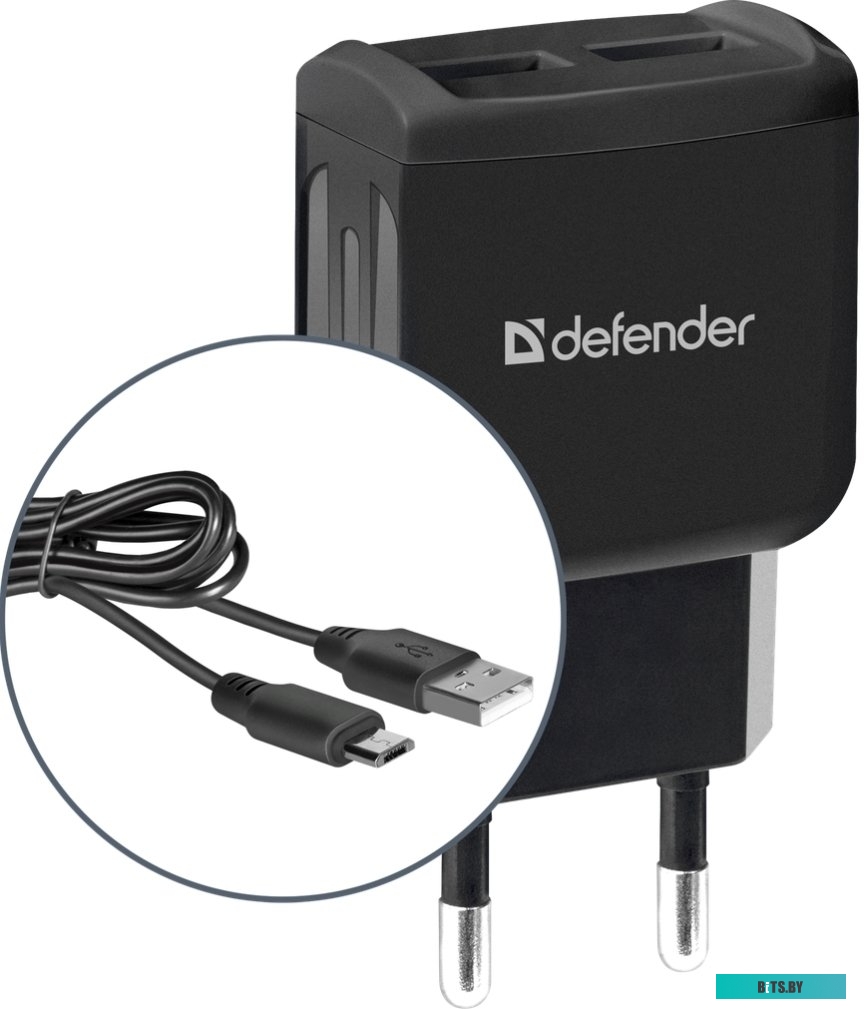 Сетевое зарядное Defender UPC-21 <83581>
