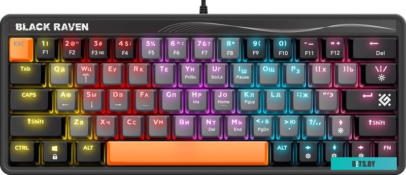 Клавиатура Defender Black Raven GK-417 45413