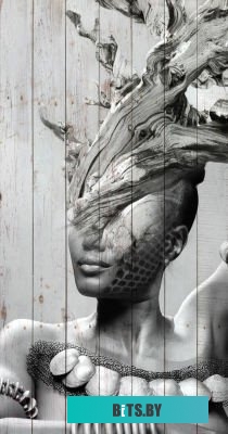 B-112 Морозилка B-112 BIRYUSA