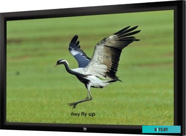 Экран для проекторов Seemax Highland 4:3 366x274 FH150VPM