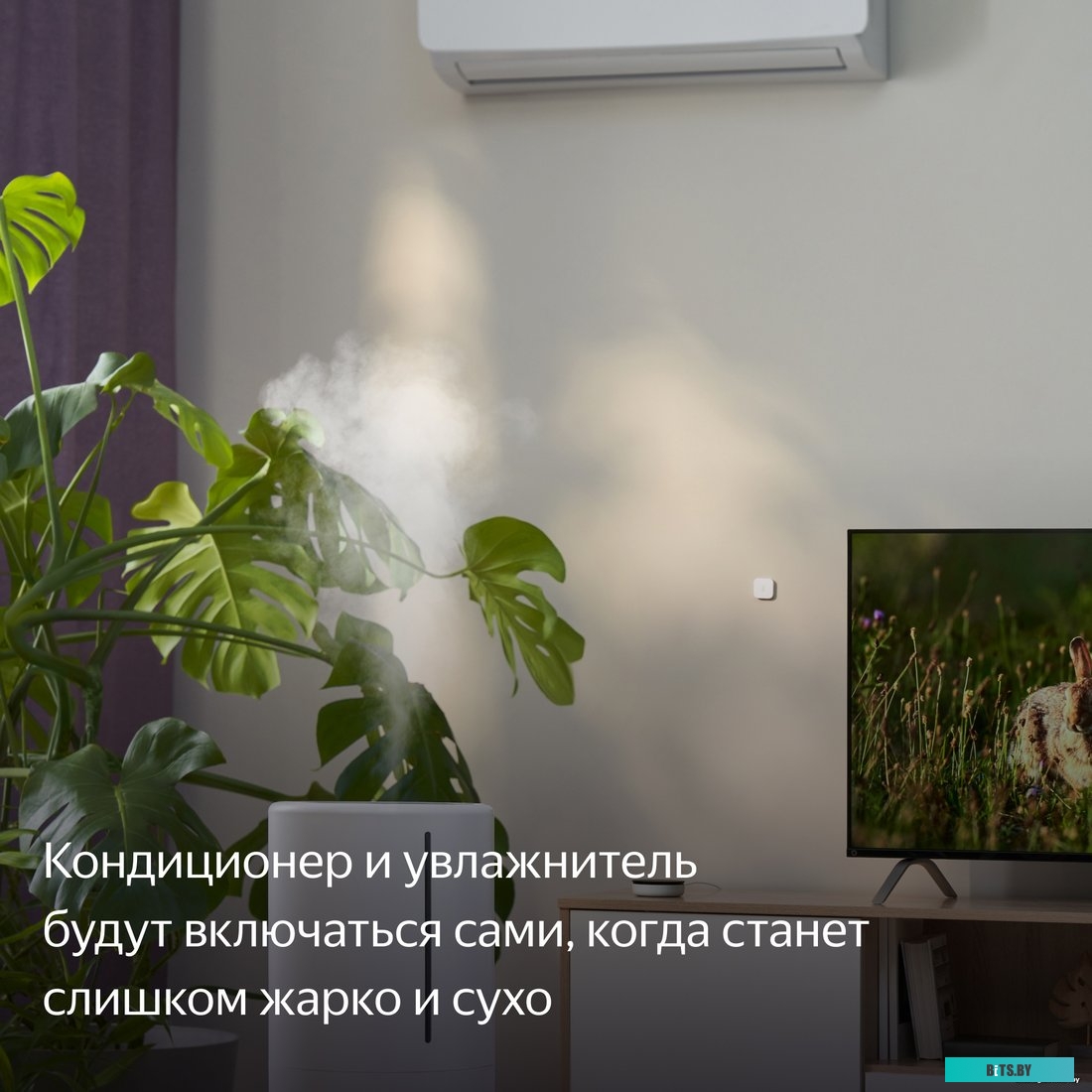 Датчик температуры и влажности ЯНДЕКС YNDX-00523,  белый