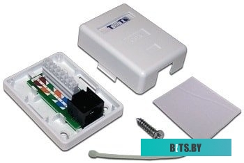 Настенная розетка Lanmaster TWT-SM1-45/6-WH