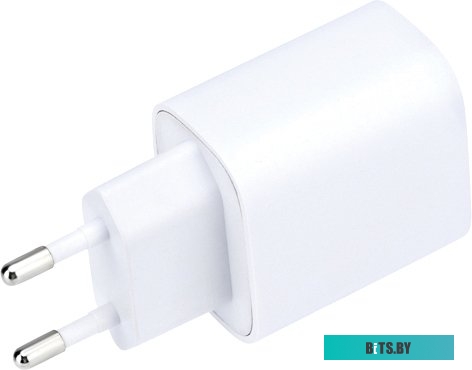 Сетевое зарядное Rexant 16-0285