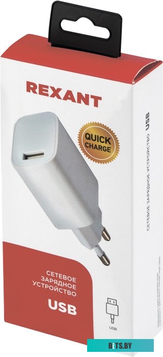 Сетевое зарядное Rexant 16-0285