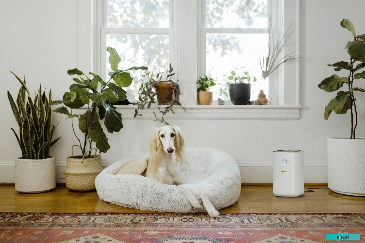 Karcher AF 20 1.024-820.0