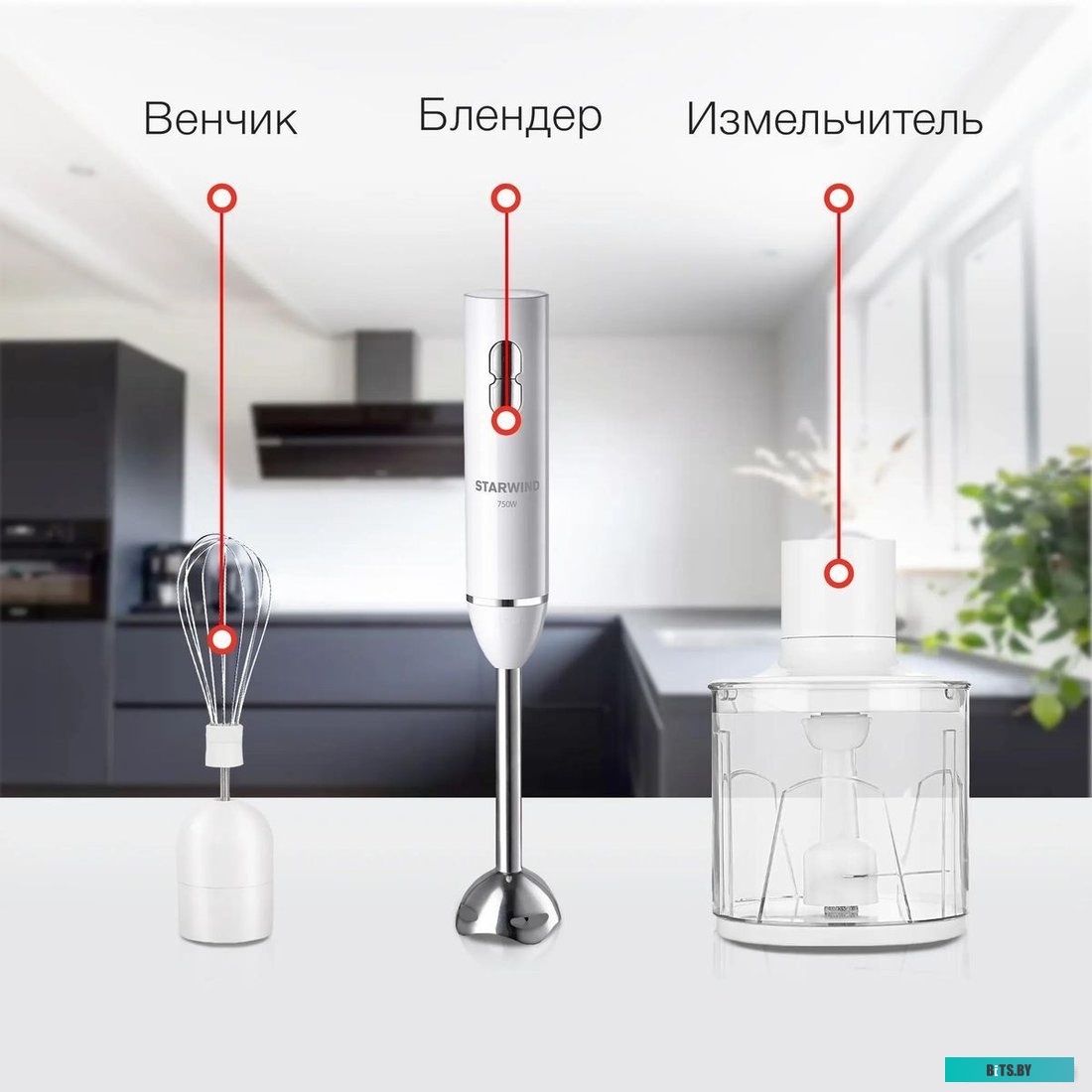 SBP1111 Блендер погружной Starwind SBP1111 750Вт белый