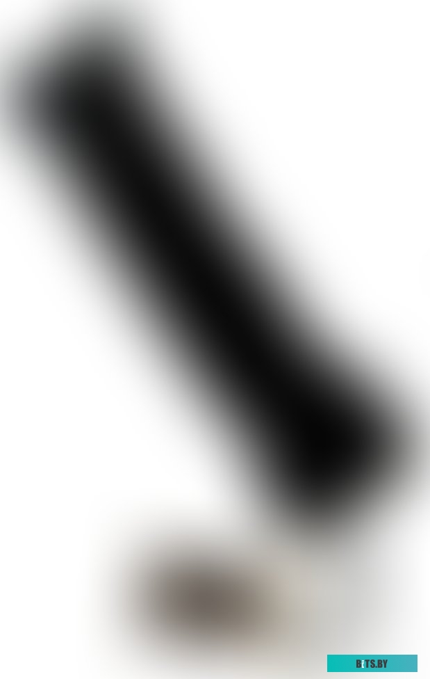 91271099 Автомобильный компрессор Bort BLK-252-Lt (91271099)