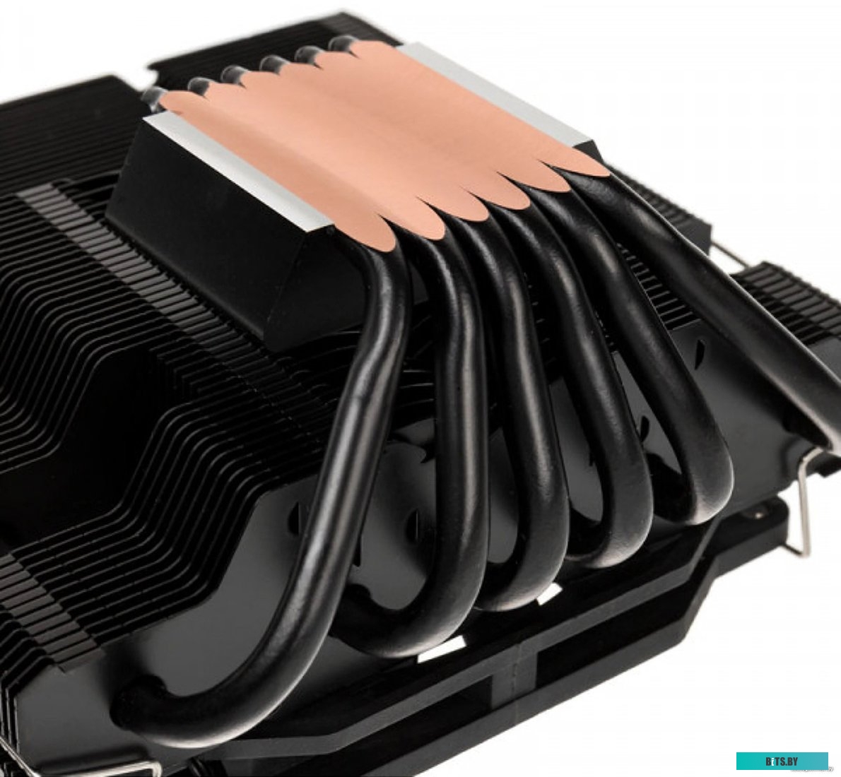 Вентилятор Raijintek Pallas 120 0R10B00095