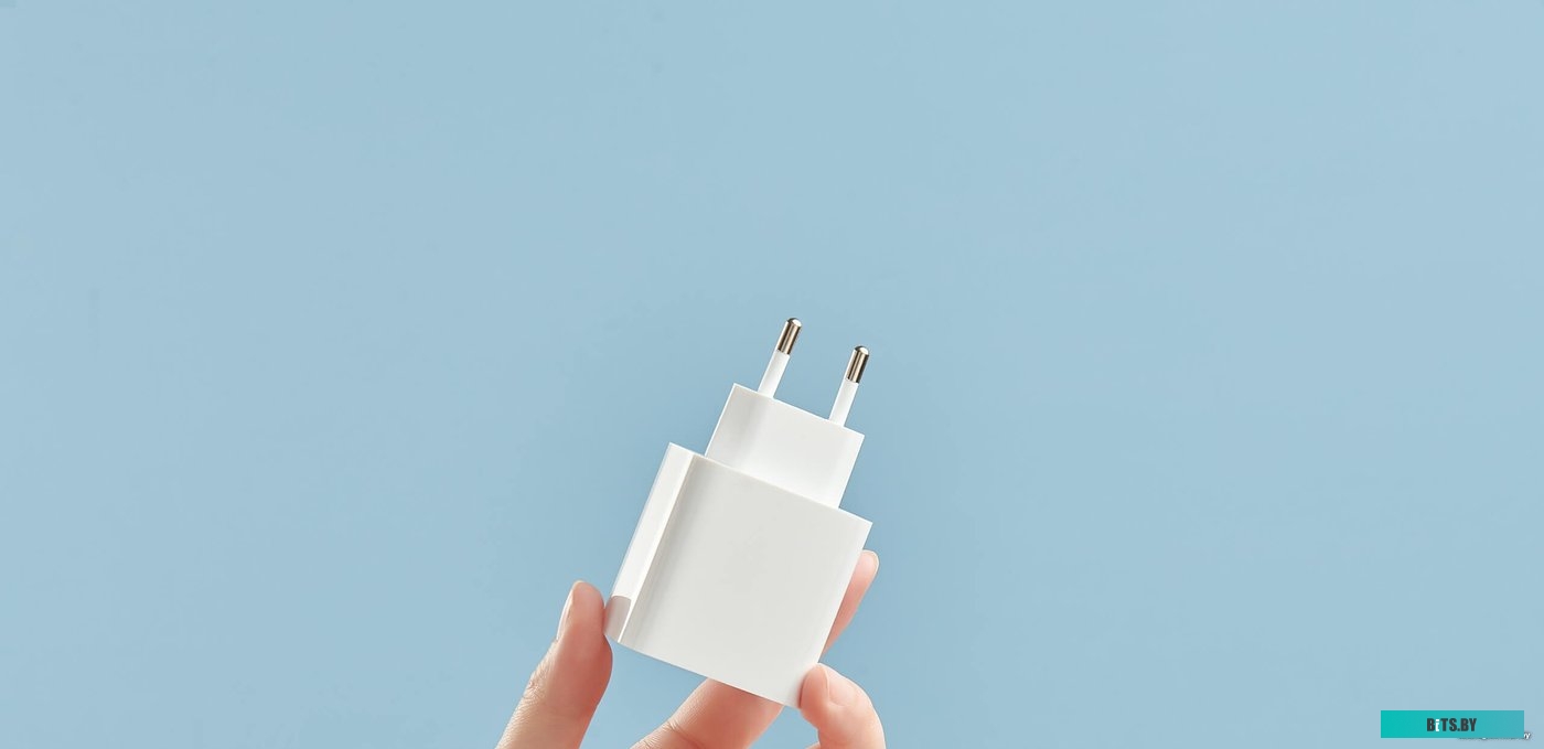 Сетевое зарядное Xiaomi Mi 33W Wall Charger <BHR4996GL>