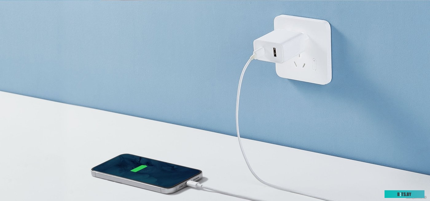 Сетевое зарядное Xiaomi Mi 33W Wall Charger <BHR4996GL>