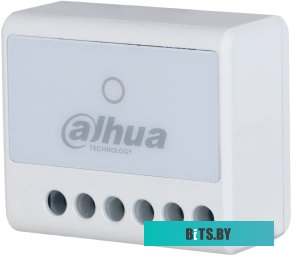 Dahua ARM7011-W2