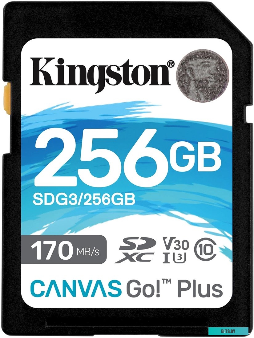 Карта памяти Kingston Canvas Go! Plus SDXC 256GB <SDG3/256GB>