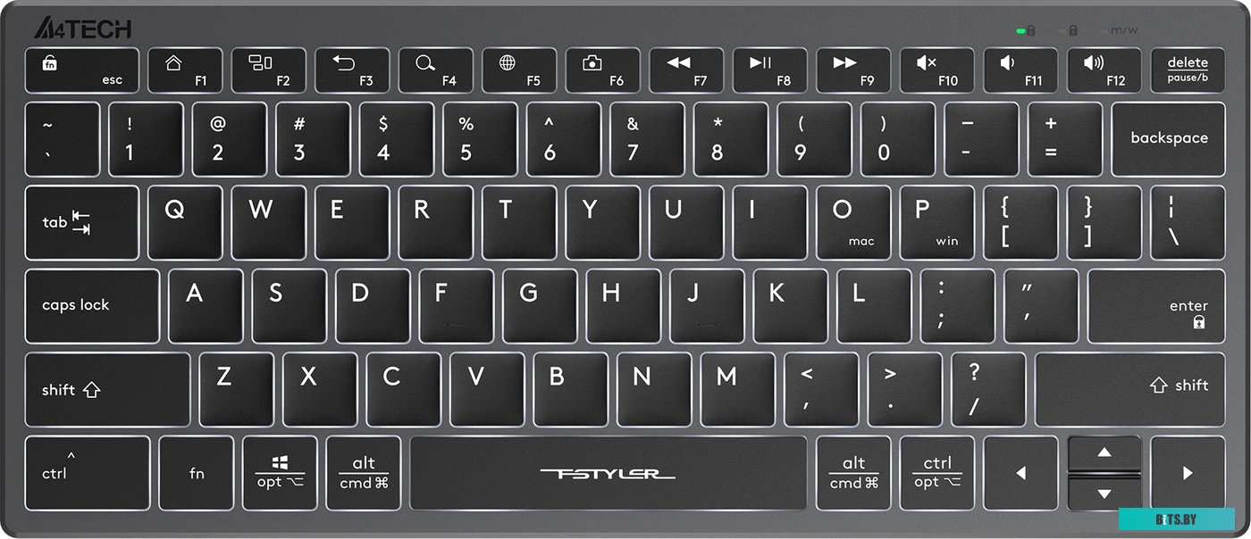 Клавиатура A4Tech Fstyler FX61 (серый/черный)