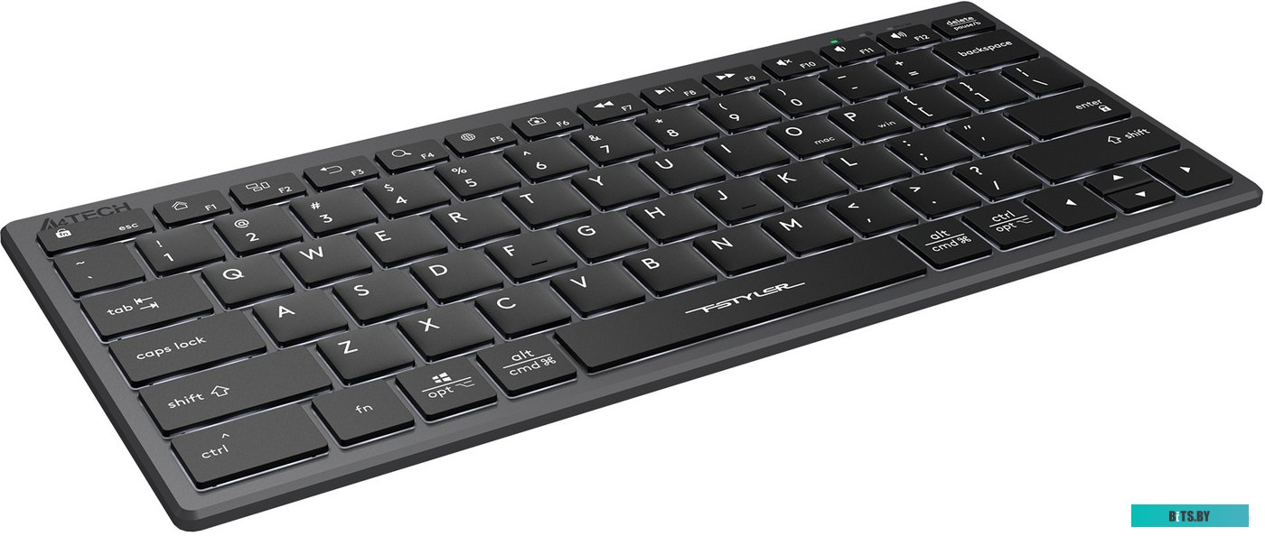 Клавиатура A4Tech Fstyler FX61 (серый/черный)