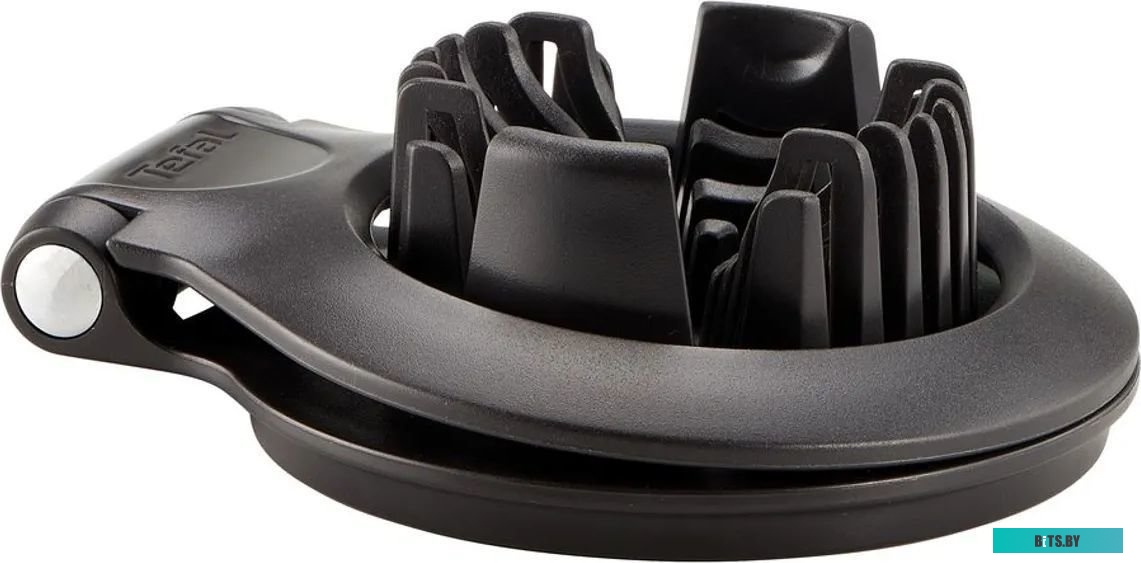 2100093085 Чайник металлический Tefal C7921024 2.5л. серебристый (2100093085)