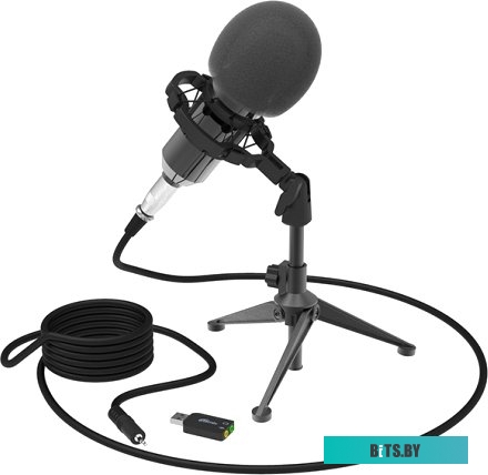 Микрофон Ritmix RDM-160 RDM-160-BLACK
