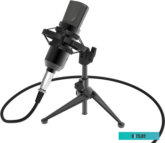Микрофон Ritmix RDM-160 RDM-160-BLACK