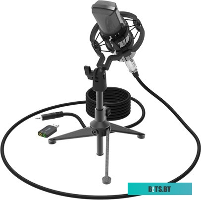 Микрофон Ritmix RDM-160 RDM-160-BLACK