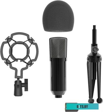 Микрофон Ritmix RDM-160 RDM-160-BLACK
