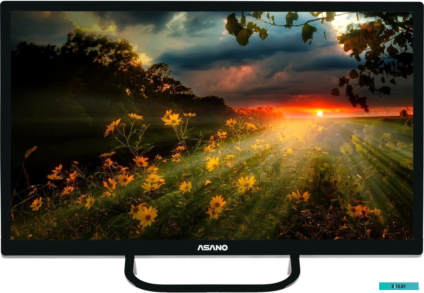 Телевизор ASANO 24LH1110T