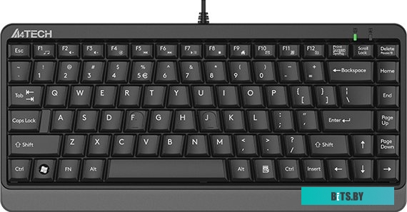 Клавиатура A4Tech Fstyler FKS11 (черный/серый)