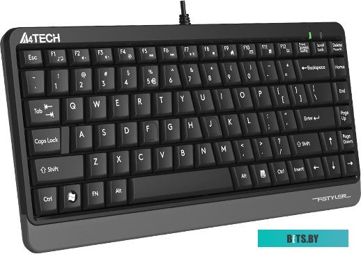 Клавиатура A4Tech Fstyler FKS11 (черный/серый)